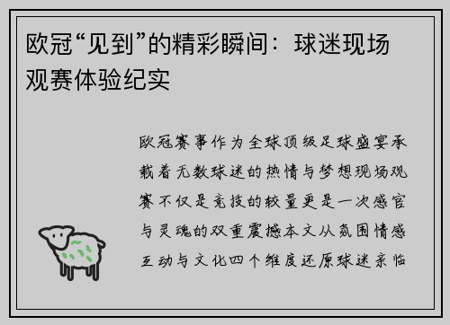 欧冠“见到”的精彩瞬间：球迷现场观赛体验纪实